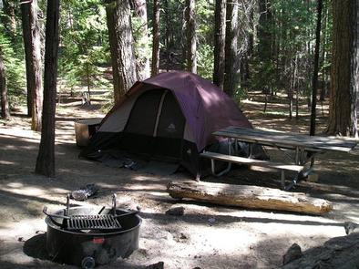 HODGDON MEADOW tent site