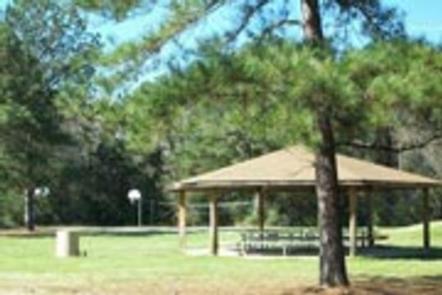 MILLERS FERRY CAMPGROUND