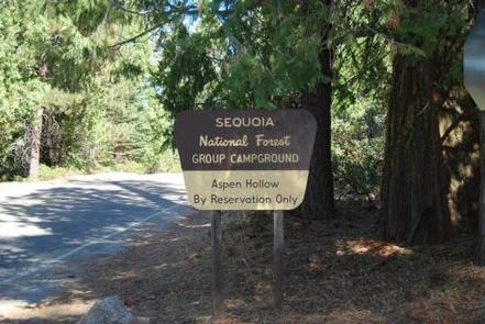 Preview photo of Aspen Hollow Group (Sequoia National Forest, CA)