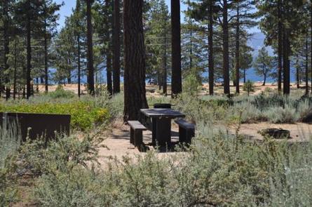 Example of a campsiteEach campsite has a picnic table, fire ring and food locker.  