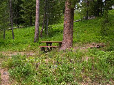Campsite surrounded by pine trees,  picnic table & fire ringCampsite