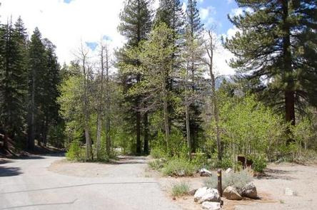 Preview photo of Reversed Creek Campground