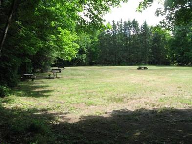 Preview photo of Marion Lake Group Site