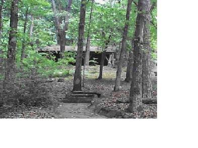 Preview photo of Fern Springs Day Use Picnic Area