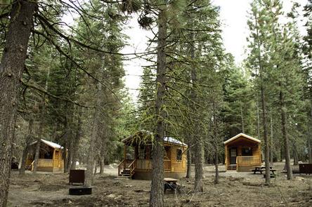 Preview photo of Manzanita Lake Camping Cabins (CA)