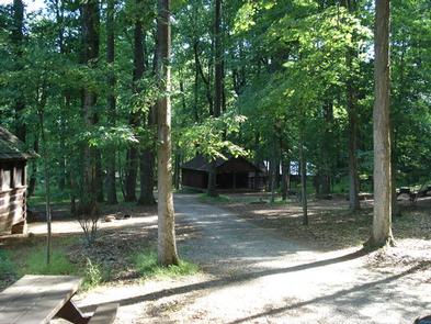 Narrow gravel road surrounded by deciduous trees. Gravel roadway that leads to the cabins in the upper section of the campground.