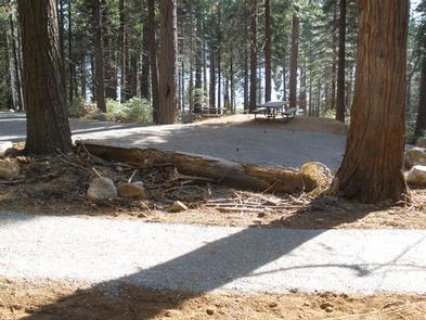 Preview photo of Ponderosa Cove Campground