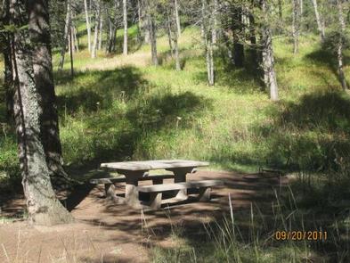 Cabin Creek campsite surrounded by pine trees, picnic table & fire ringCampsite