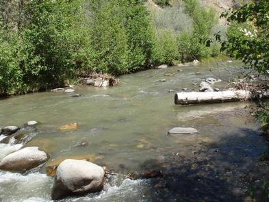 BLANCO RIVER GROUP CAMPGROUND