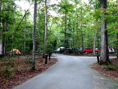 Cars and tents at a campsite near a paved roadwayCampers in Oak Ridge Campground