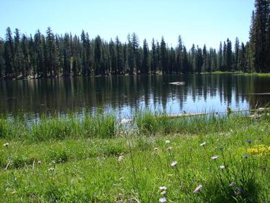 SUMMIT LAKE  WITH MEADOW