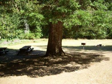 CHINQUAPIN GROUP CAMPGROUND