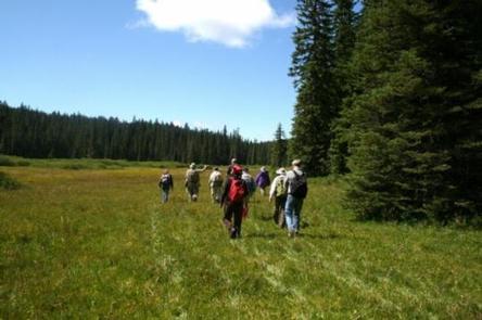 A group tour explores a nearby meadow.A group participating in a Sweet Home tour explore a meadow. 