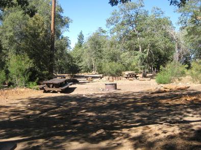 Shade, picnic tables & fire pits of the Oso Group Campground ..Shade, picnic tables & fire pits of the Oso Group Campground