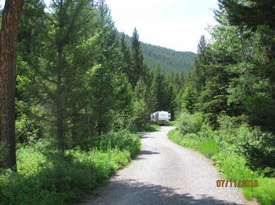 Swan Creek Campground - road, Pine trees & RVSwan Creek Campground