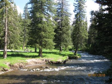 Hyalite Creek & pine treesHyalite Creek