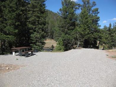 Campsite surrounded by pine treesCampsite