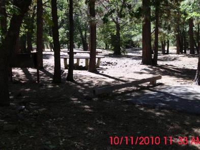 14++ Camping Mountain Oak