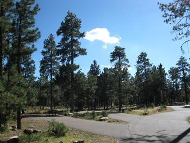 CROOK CAMPGROUND paved spursCrook Group Site offers paved loops and spurs 