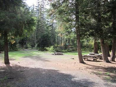 PINE NEEDLE GROUP SITEGroup Camping