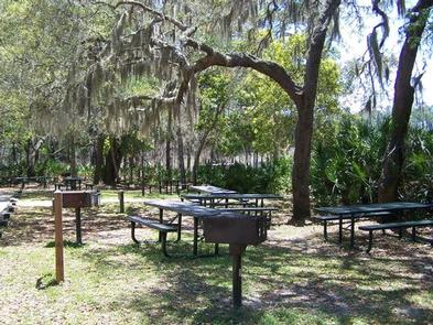 Clearwater Lake Rec Area, National Forests in Florida - Recreation.gov