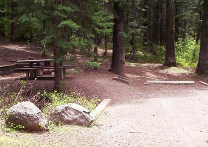 Campsite 4 in Spring Creek Campground.Campsite 4 in Spring Creek Campground surrounded by Ponderosa Pine trees.