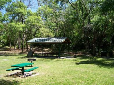 Alexander Springs Rec Area, National Forests in Florida - Recreation.gov