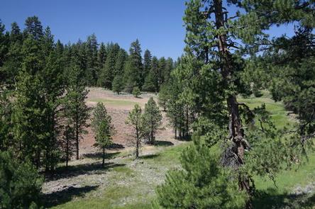 Preview photo of Cold Springs Cabin - Ochoco Nf (OR)