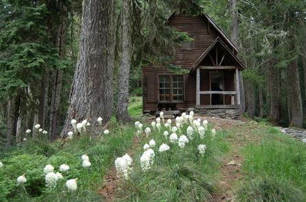 White flowers in a fir forest leading to a small wood cabin built on a stone foundation.MUSICK GUARD STATION