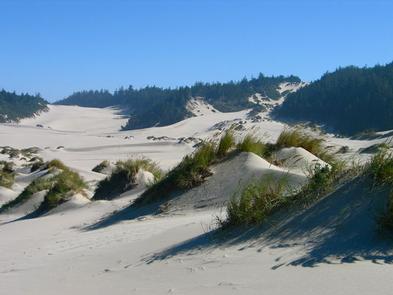 A large expanse of flat sand, some grass covered dunes and conifer covered hills in the background under blue sky.UMPQUA SAND CAMPING