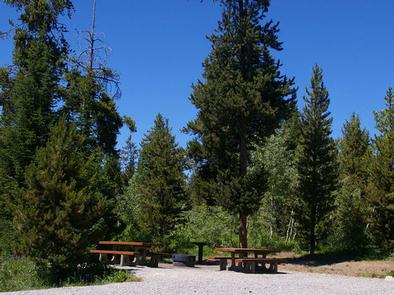 Single Camp SiteSingle Camp Site 