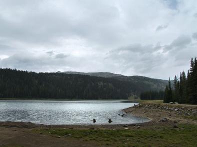 Goose Lake adjacent to Grouse Campground