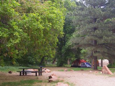 ADELAIDE CAMPGROUND