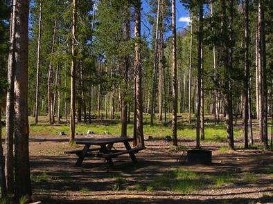 Preview photo of Bonanza Ccc Group Campground