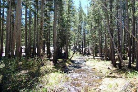 Preview photo of Coldwater Campground - Inyo Nf (CA)