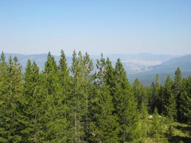 WEST FORK BUTTE LOOKOUT