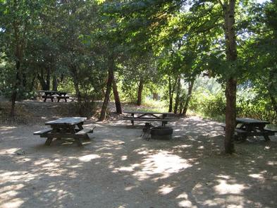 CURLY JACK CAMPGROUND