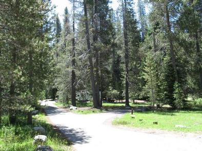 Chapman Creek Campground