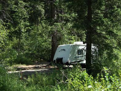 EVERGREEN CAMPGROUNDCamper at Evergreen Campground