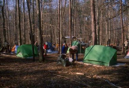 Multiple green tents and campers in a site in a campground in the winter forestCampers in Turkey Run Group Campground
