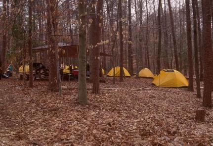 Multiple yellow tents clustered in a campsite among fallen leaves in a winter forestCampers in Turkey Run Group Campground