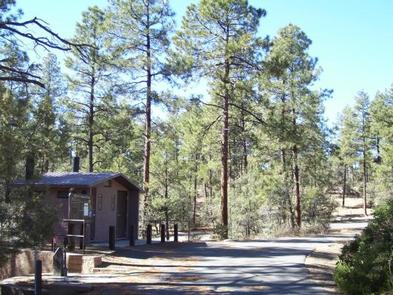 Two Stall Vault Toilet on Concrete Pad Next To The Ponderosa Pine Tree Lined Campground Roadway LYNX CAMPGROUND restroom