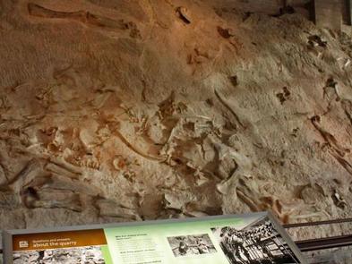 "Wall of Dinosaur Bones"  The Quarry Exhibit Hall is located approximately five miles from the Green River Campground.