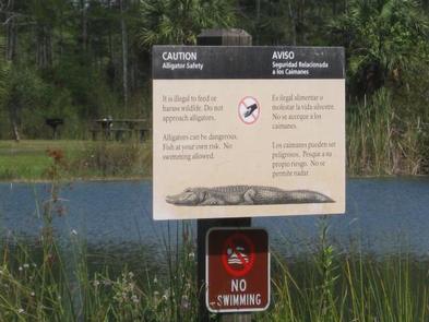Midway Campground (FL) lake Wildlife sign at Midway Campground lake