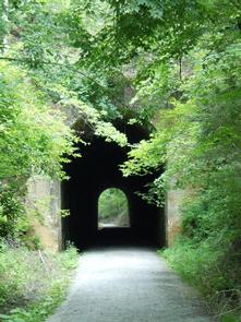 FLATWOODS GROUP PICNIC AREARailroad tunnel on Guest River Gorge Trail