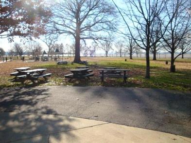 The photo shows tables scattered on a grassy area with scattered trees.Hains Point Picnic Area
