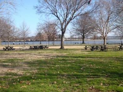 The photo shows scattered picnic benches on a grassy area with scattered trees. Hains Point Picnic Area