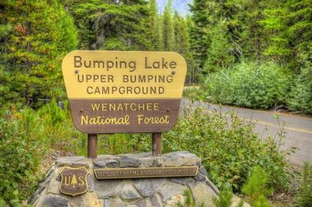Preview photo of Bumping Lake Campground
