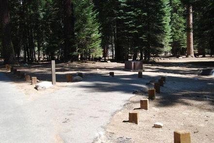 Preview photo of Stony Creek Sequoia