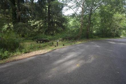 Large paved parking area next to a picnic table in a shady, grass covered campsite.TYEE CAMPGROUND